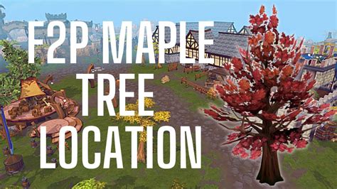 If you either want to cut maple trees or yew trees, this video shows you both The great thing is, both tree areas are right next to the seers village bank. . Maple tree osrs